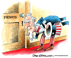 DOMESTIC SURVEILLANCE by Dave Granlund