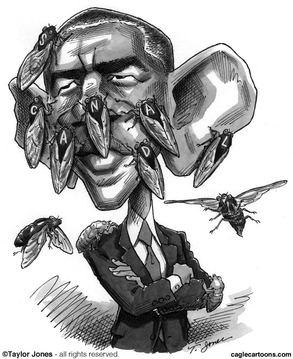  OBAMA ALL BUGGY by Taylor Jones