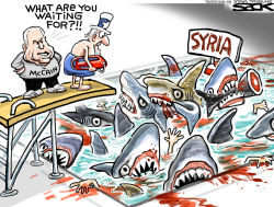 SYRIA HIGHDIVE by Steve Sack