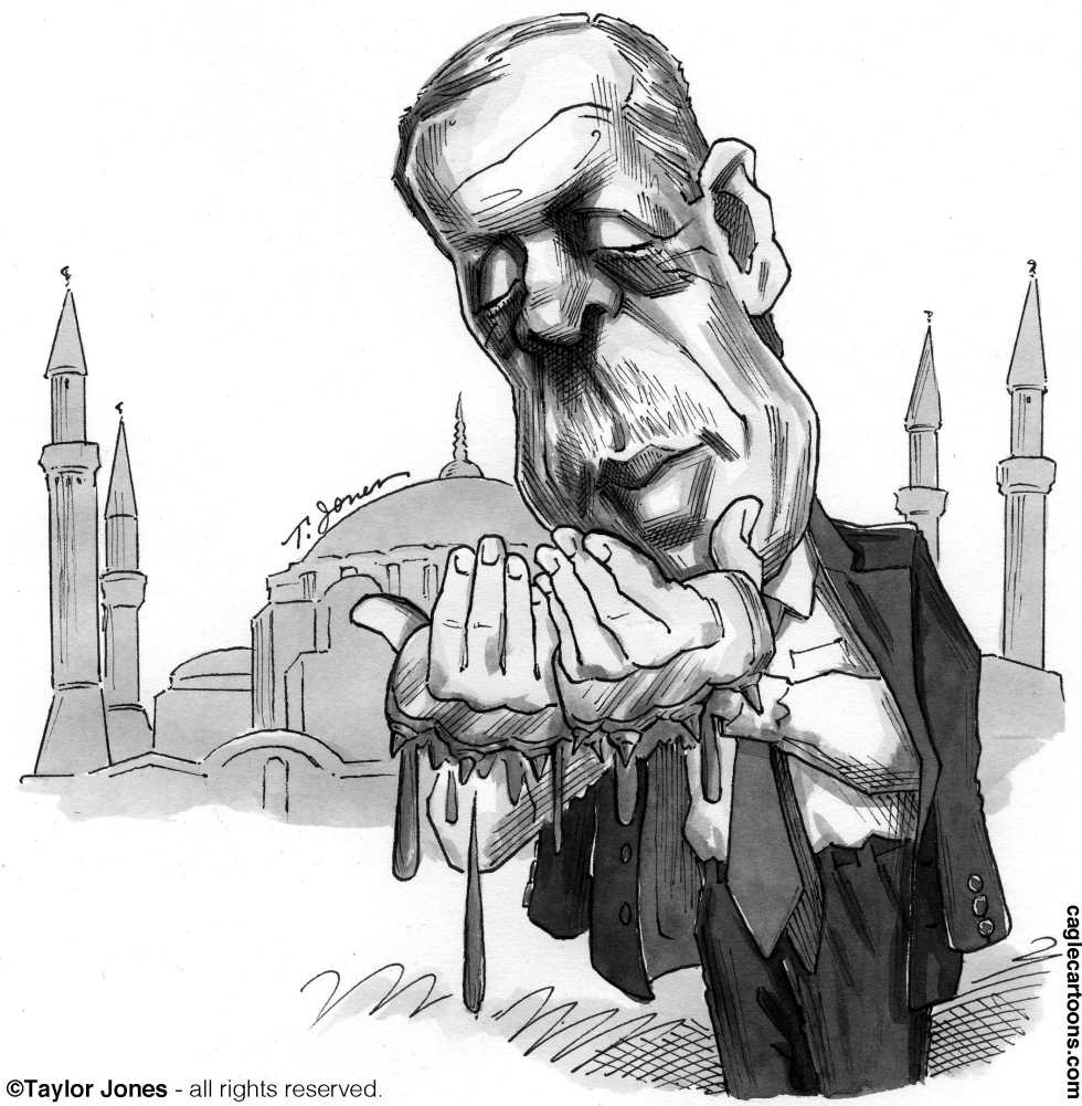  ERDOGAN THE DEVOUT by Taylor Jones