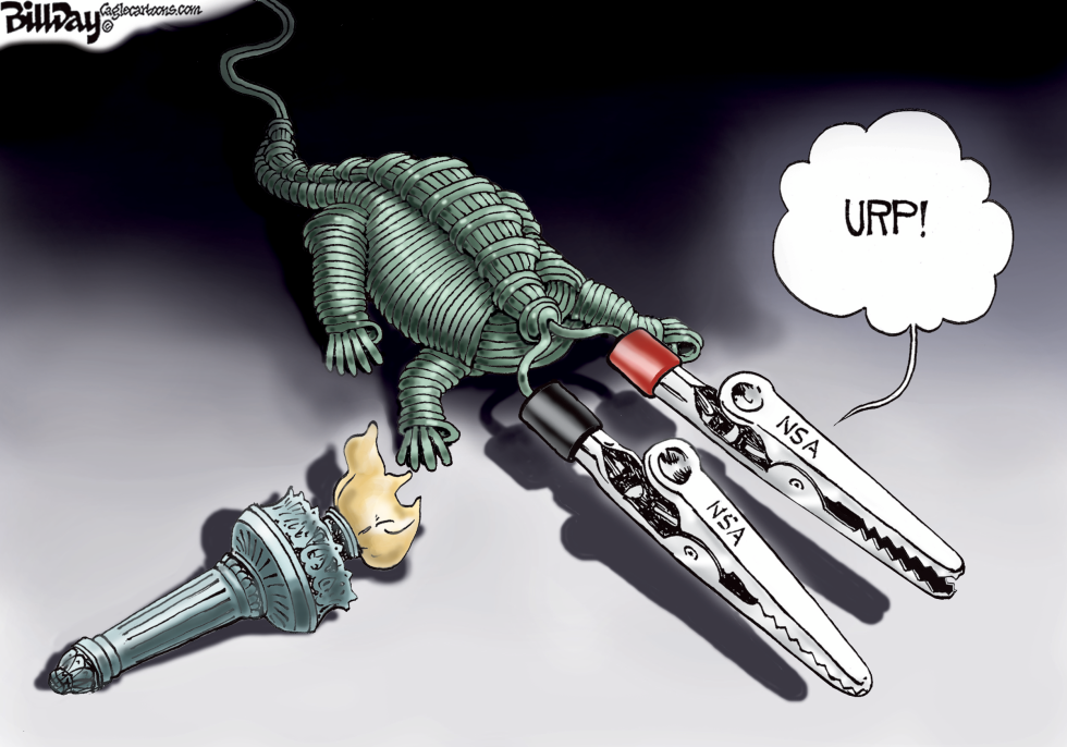  WIRE TAPPING GATOR  by Bill Day