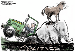 FARM BILL by Jeff Koterba