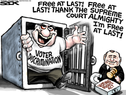 VOTING RIGHTS by Steve Sack