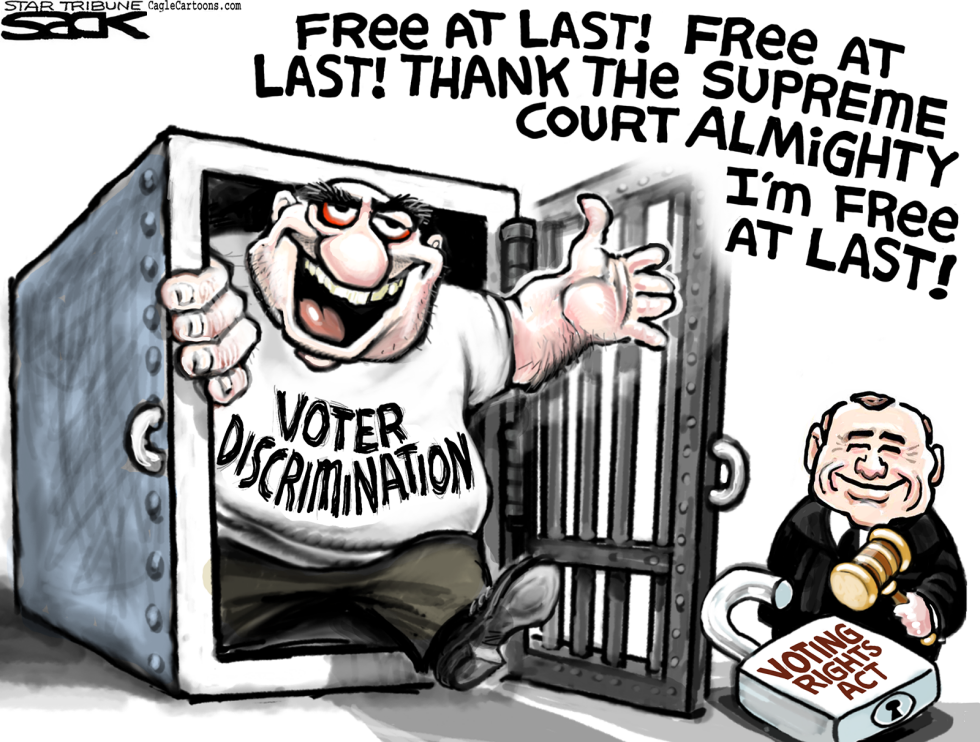  VOTING RIGHTS by Steve Sack