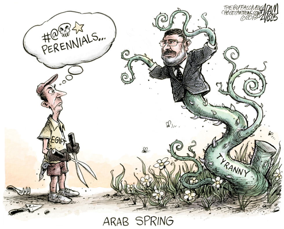  MORSI CUT DOWN by Adam Zyglis