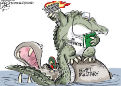 DEMOCRACY IN EGYPT by Pat Bagley