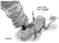 PUTINS SOLE by John Cole