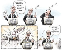 FLIGHT SAFETY LAW by Adam Zyglis