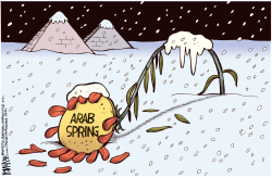 ARAB SPRING FROZEN by Rick McKee