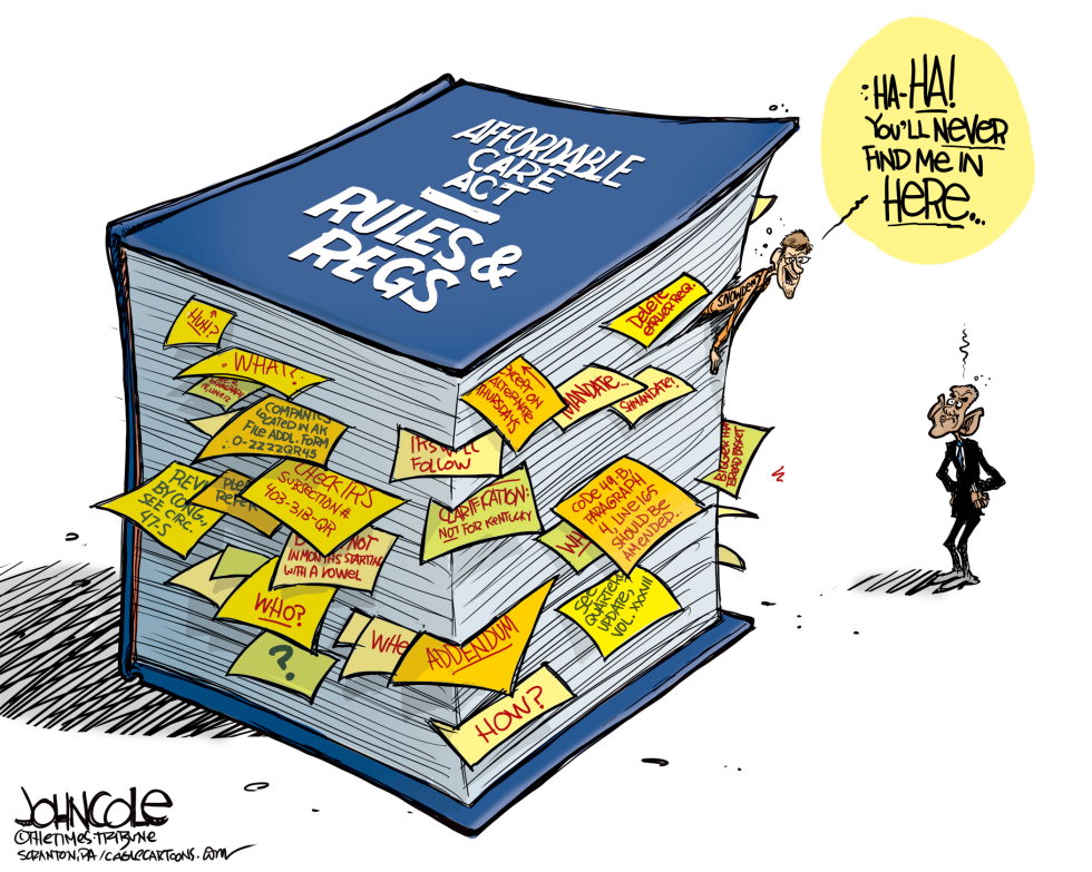  OBAMACARE COMPLEXITY by John Cole