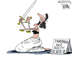 ZIMMERMAN VERDICT by Gary McCoy