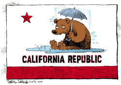 CALIFORNIA RAIN  by Daryl Cagle