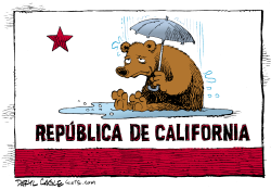 LLUVIA EN CALIFORNIA by Daryl Cagle