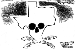 TEXAS by Milt Priggee