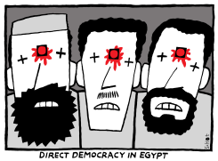 DIRECT DEMOCRACY by Schot