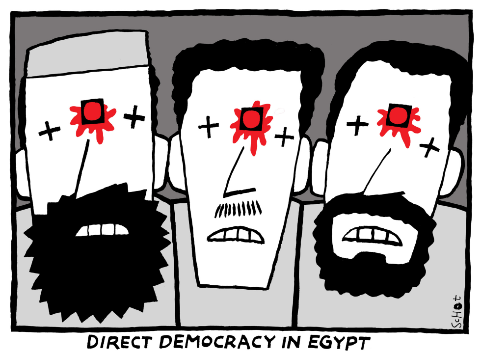  DIRECT DEMOCRACY by Schot