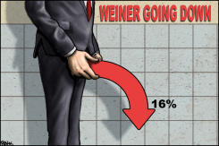 WEINER POLLS by Sean Delonas