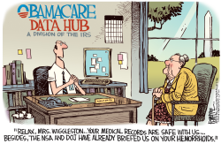 OBAMACARE DATA HUB  by Rick McKee