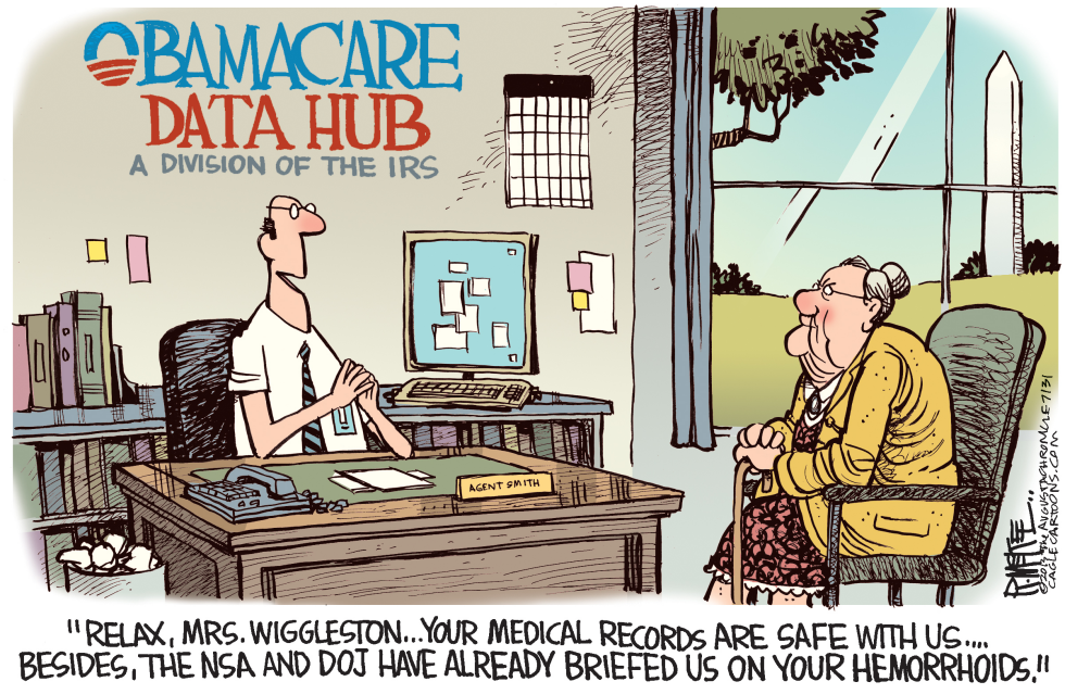  OBAMACARE DATA HUB  by Rick McKee