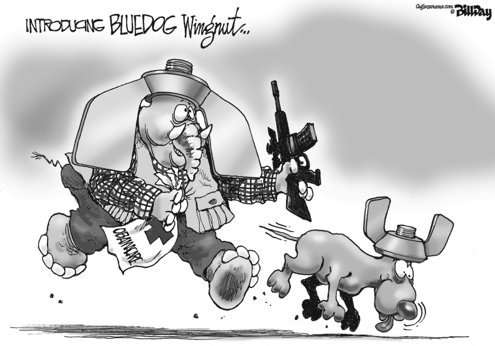  BLUEDOG WINGNUT by Bill Day