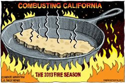 LOCAL-CA 2013 FIRE SEASON by Wolverton