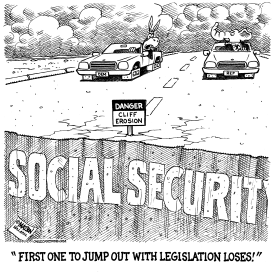 SOCIAL SECURITY REFORM CHICKEN by RJ Matson