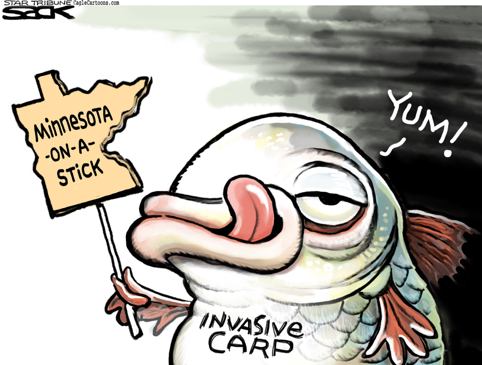  INVASICE CARP LOCAL by Steve Sack