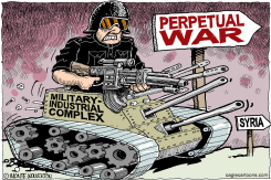 TOWARD PERPETUAL WAR by Wolverton