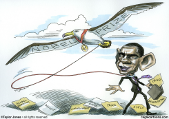 OBAMA PEACE PRESIDENT - ING by Taylor Jones