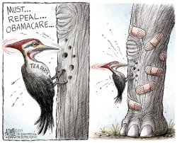 REPEAL OBAMACARE by Adam Zyglis