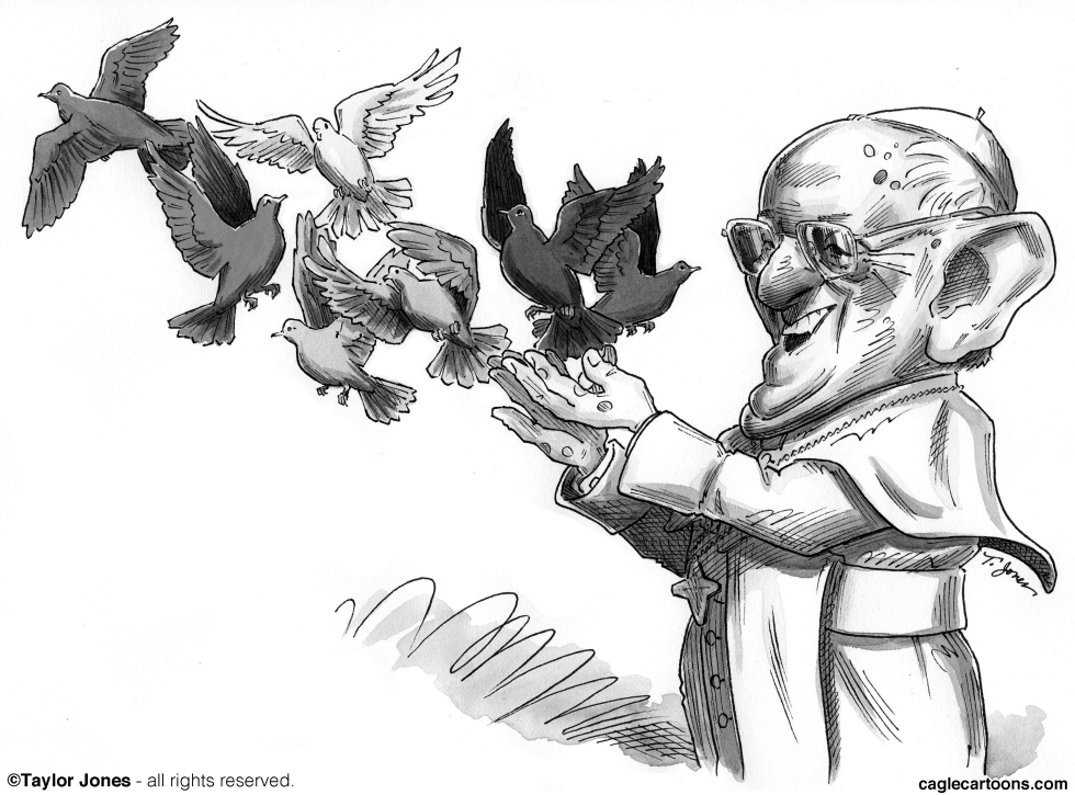  POPE FRANCIS TENDS FLOCK by Taylor Jones