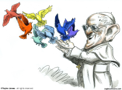 POPE FRANCIS TENDS FLOCK  by Taylor Jones