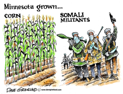 MINNESOTA GROWN MILITANTS by Dave Granlund