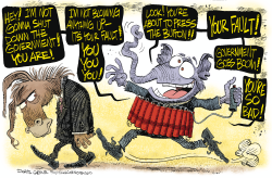 GOVERNMENT GO BOOM by Daryl Cagle