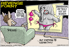 LOCAL-CA GOP REVENGE PORN by Wolverton