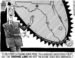 LOCAL FL OPEN RECORDS COLD FRONT by Parker