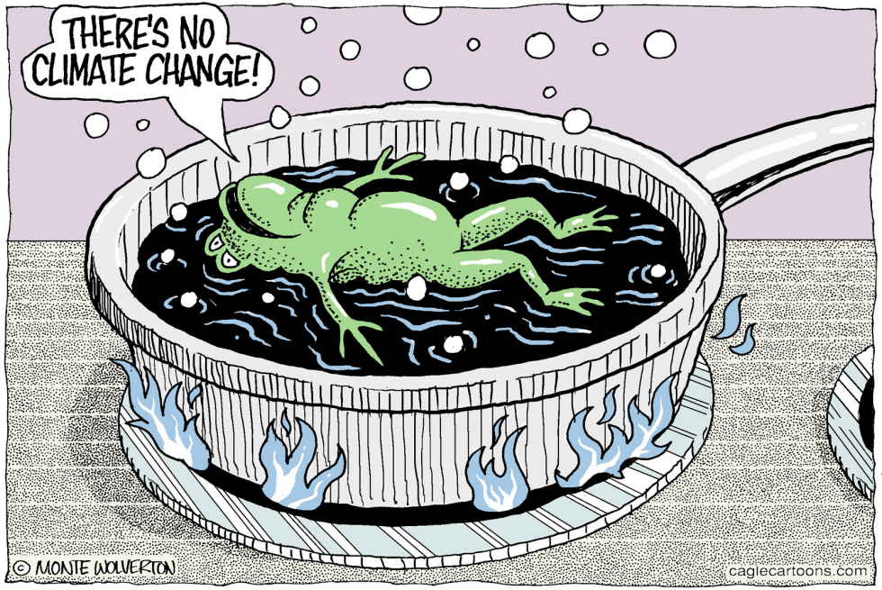  CLIMATE CHANGE DENYING FROG by Wolverton