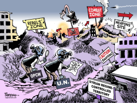 INSPECTION IN SYRIA by Paresh Nath