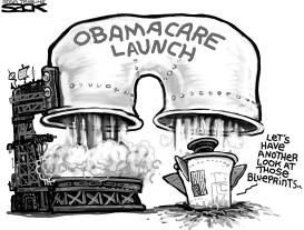 OBAMACARE MISFIRE by Steve Sack