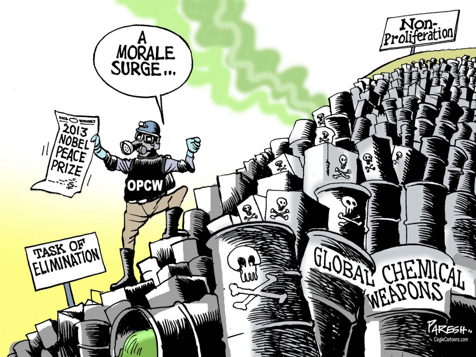  PEACE NOBEL FOR OPCW by Paresh Nath