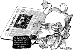 NEW YORK TIMES Y LOS CARTONES by Daryl Cagle