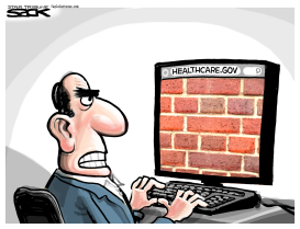 OBAMACARE BRICKS by Steve Sack