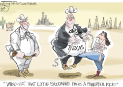 TEXAS HEIFERS by Pat Bagley