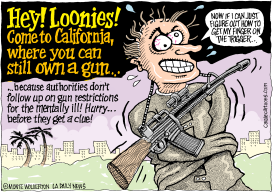 LOCAL-CA MENTALLY ILL WITH GUNS by Wolverton