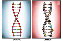 GM FOOD DEBATE by Luojie