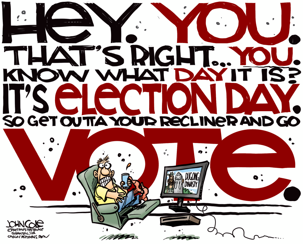  VOTE  by John Cole