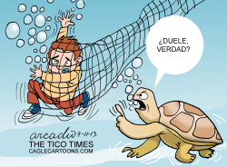 TORTUGAS MALTRATADAS by Arcadio Esquivel