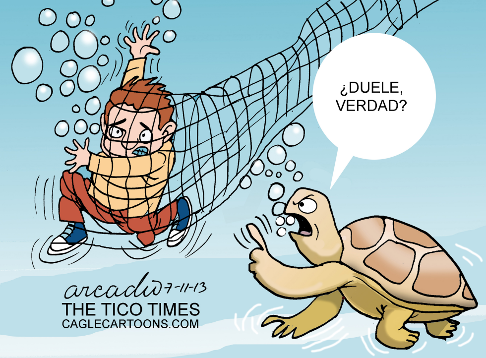  TORTUGAS MALTRATADAS by Arcadio Esquivel