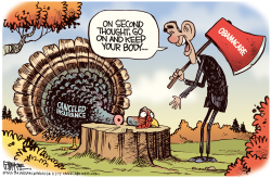 OBAMACARE TURKEY by Rick McKee