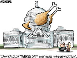 TURKEYLAND by Steve Sack